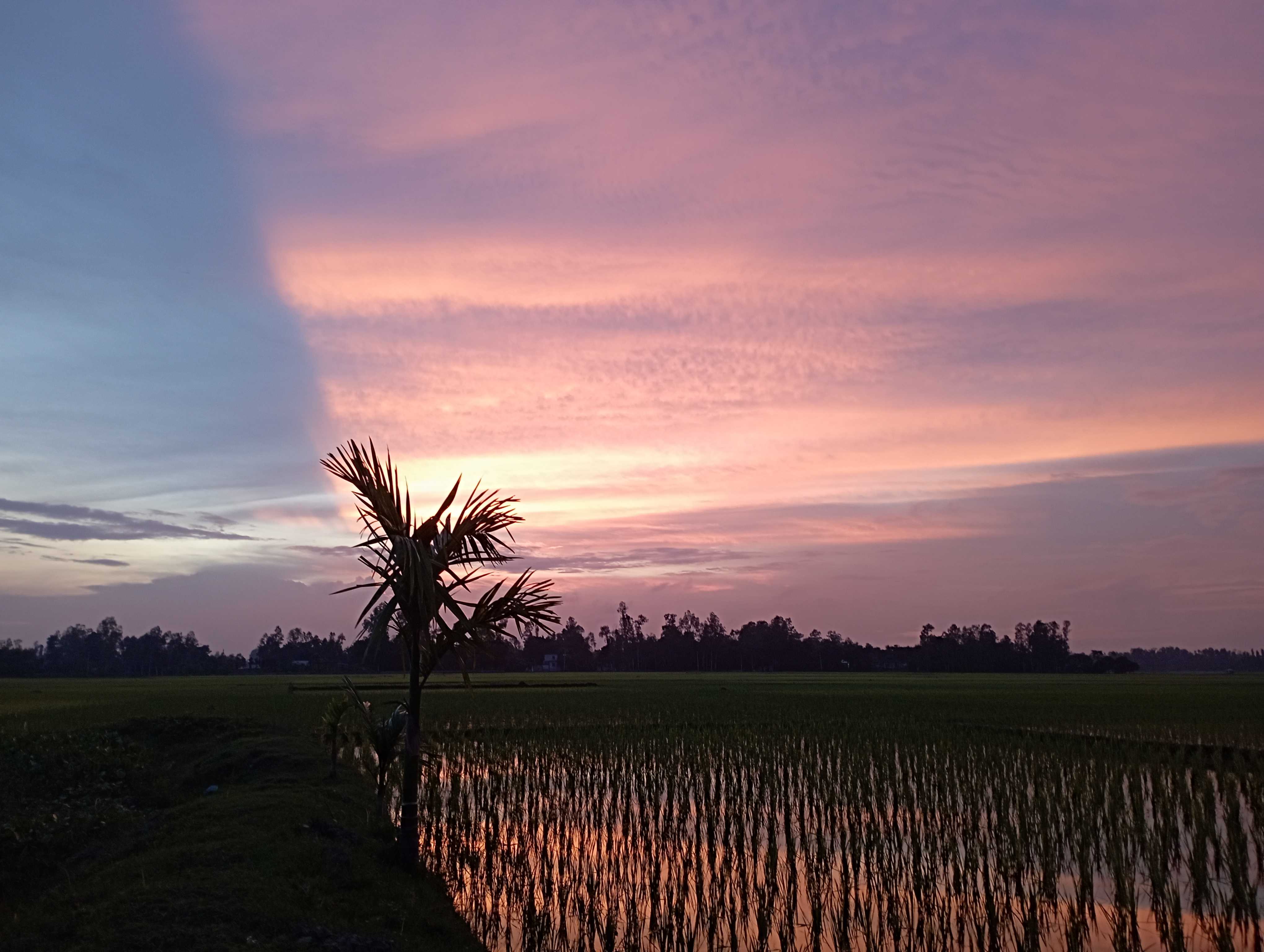 Cover Photo