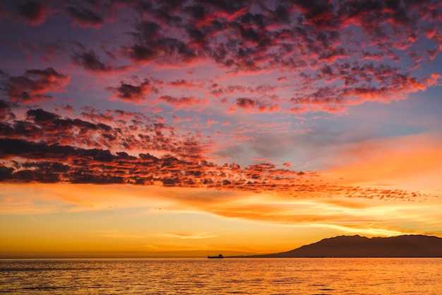 Cover Photo
