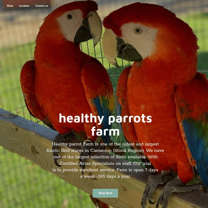 Healthyparrotsfarm Company