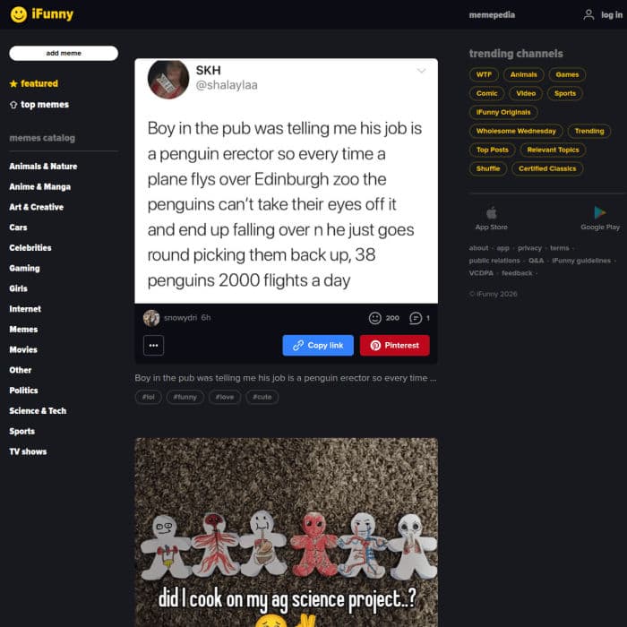 Ifunny