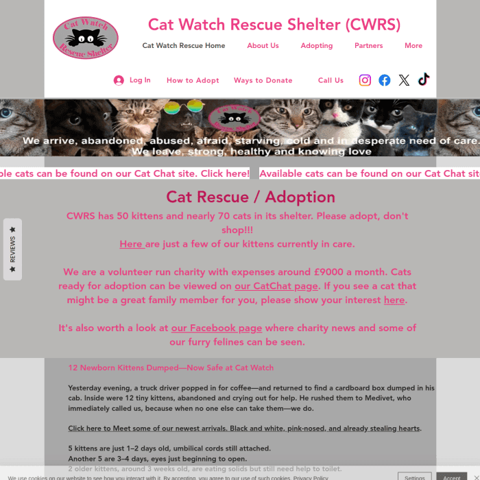 Cwwrescue