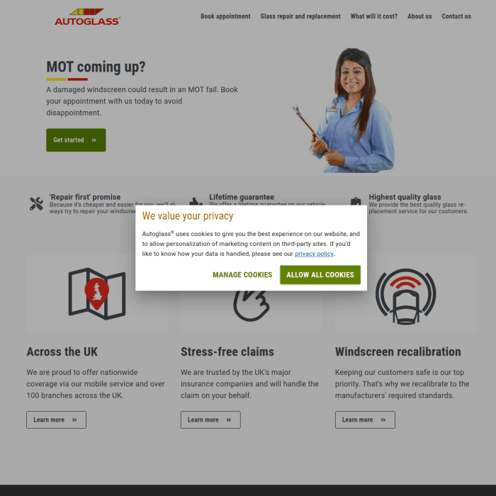 Autoglass Co