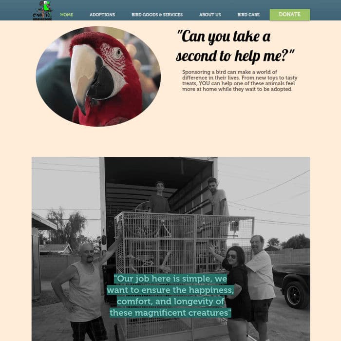 Azexoticbirdrescue
