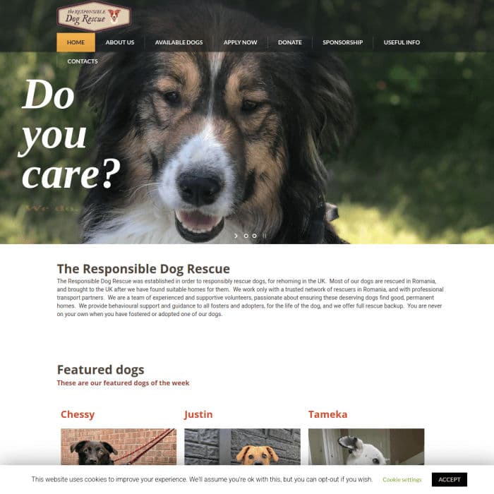 Theresponsibledogrescue Co
