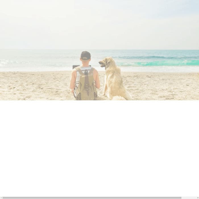 Thepettravelvet Co