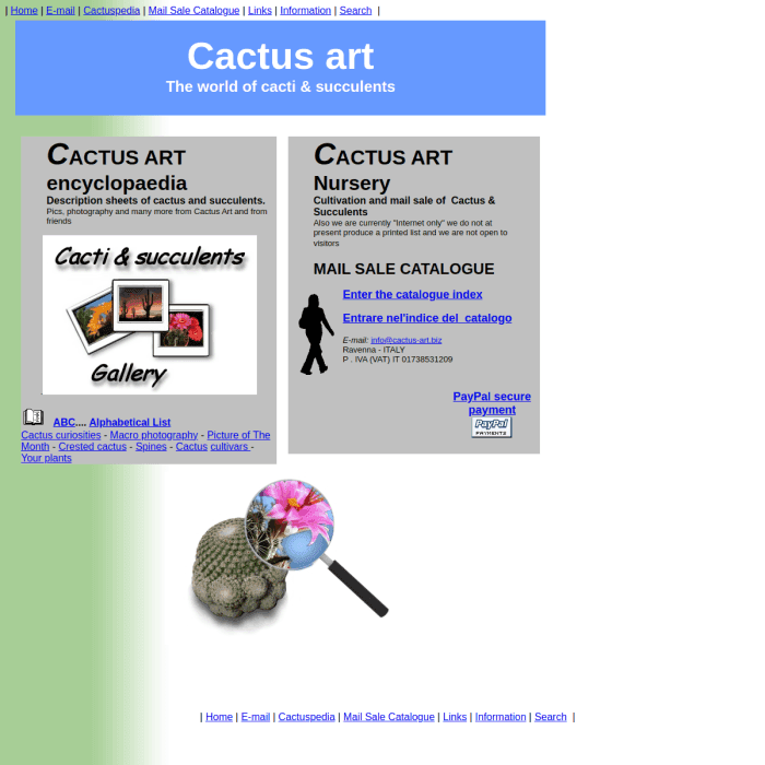 Cactus Art