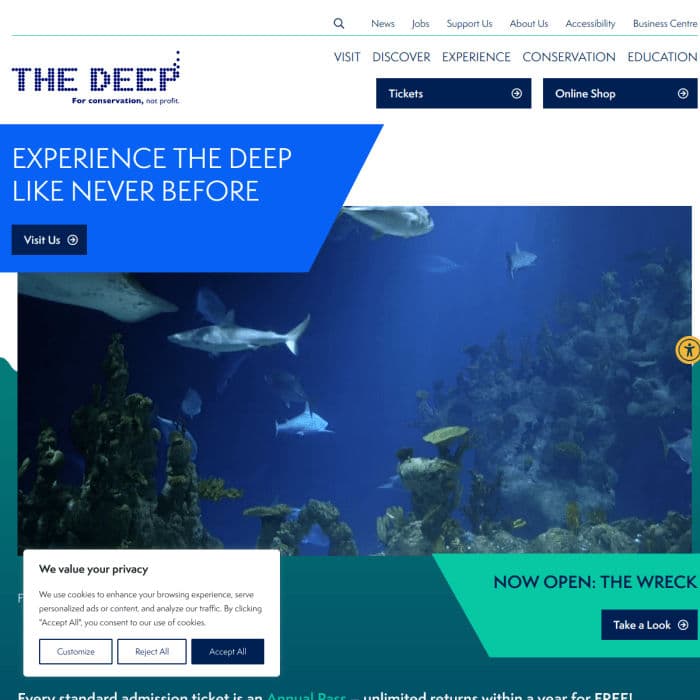 Thedeep Co