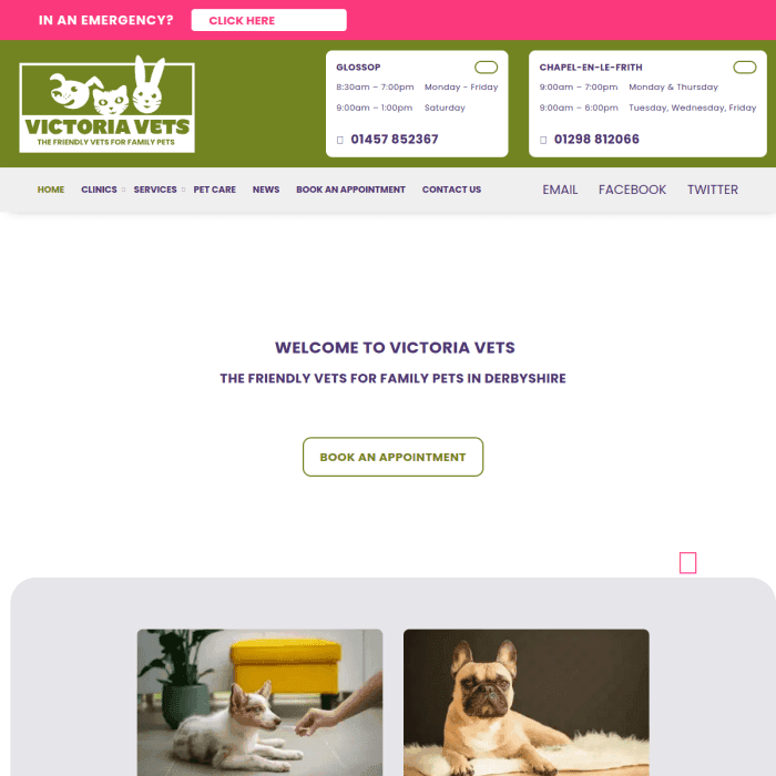 Victoriavets Co