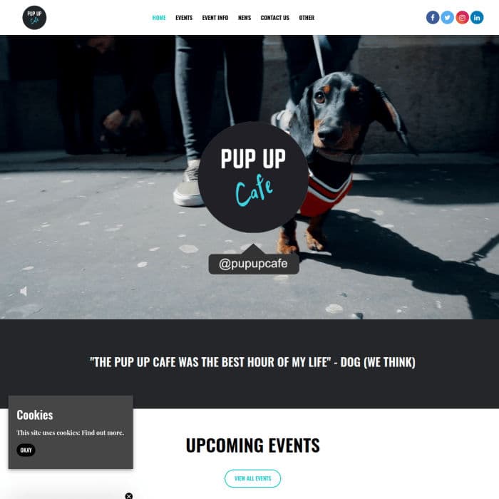 Pupup