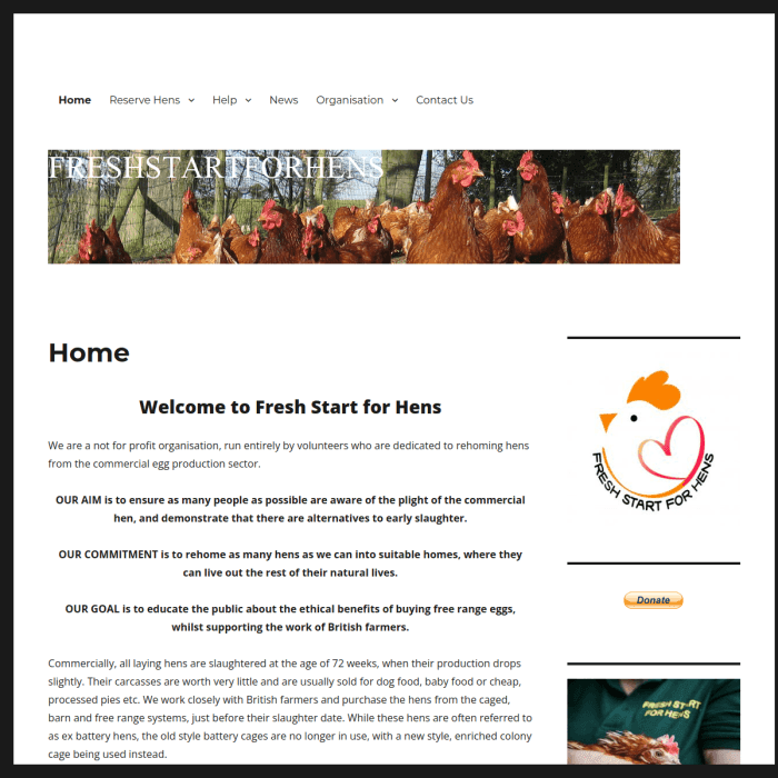 Freshstartforhens Co