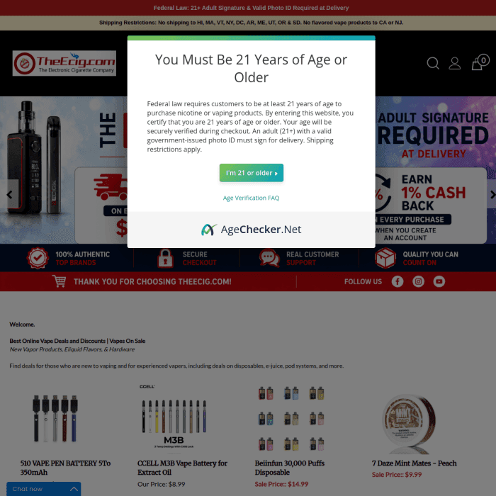 Theecig