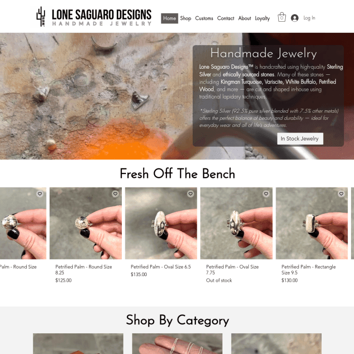 Lonesaguarodesigns