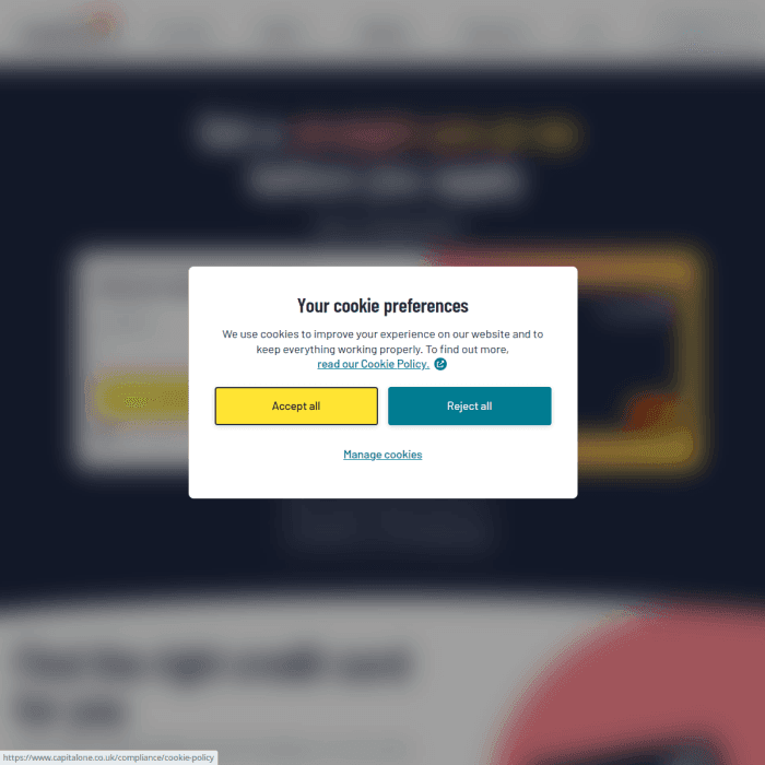 Capitalone Co
