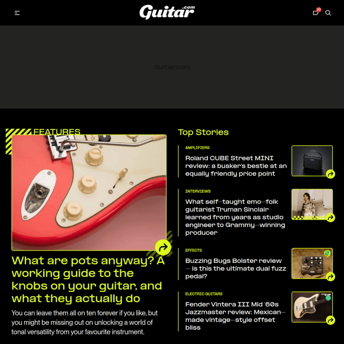 Guitar