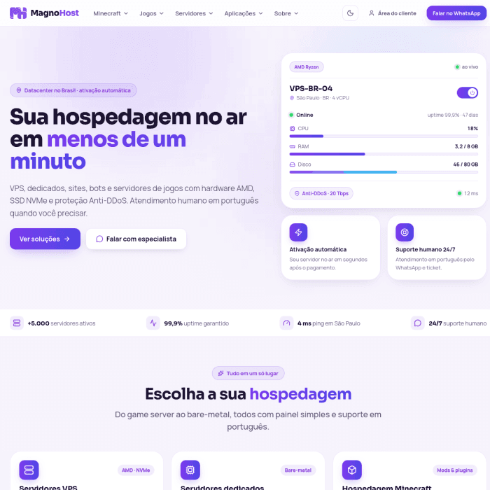 Magnohost Com