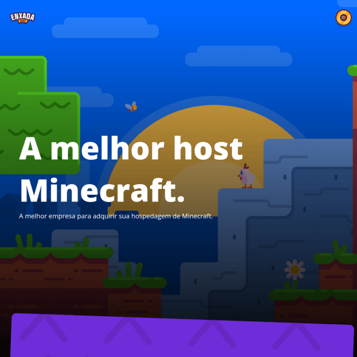 Enxadahost