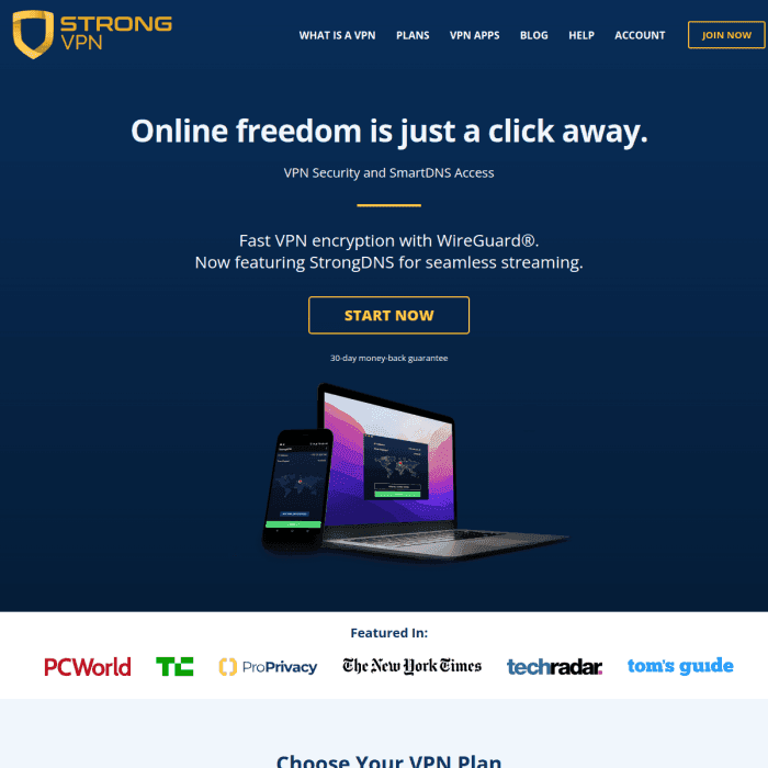 Strongvpn